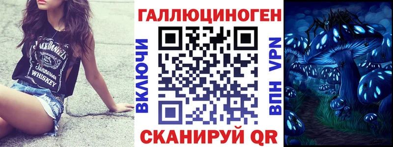 купить наркоту  Кропоткин  мориарти официальный сайт  Галлюциногенные грибы Psilocybine cubensis 